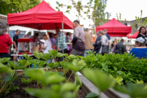 Sommer- und Familienfest „Flingern gesund bewegt“