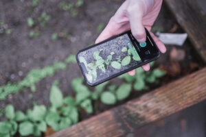 Öffnungszeiten Dezember 2025