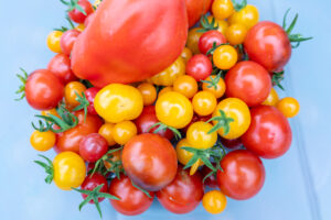 Suppen-Frühling Flingern